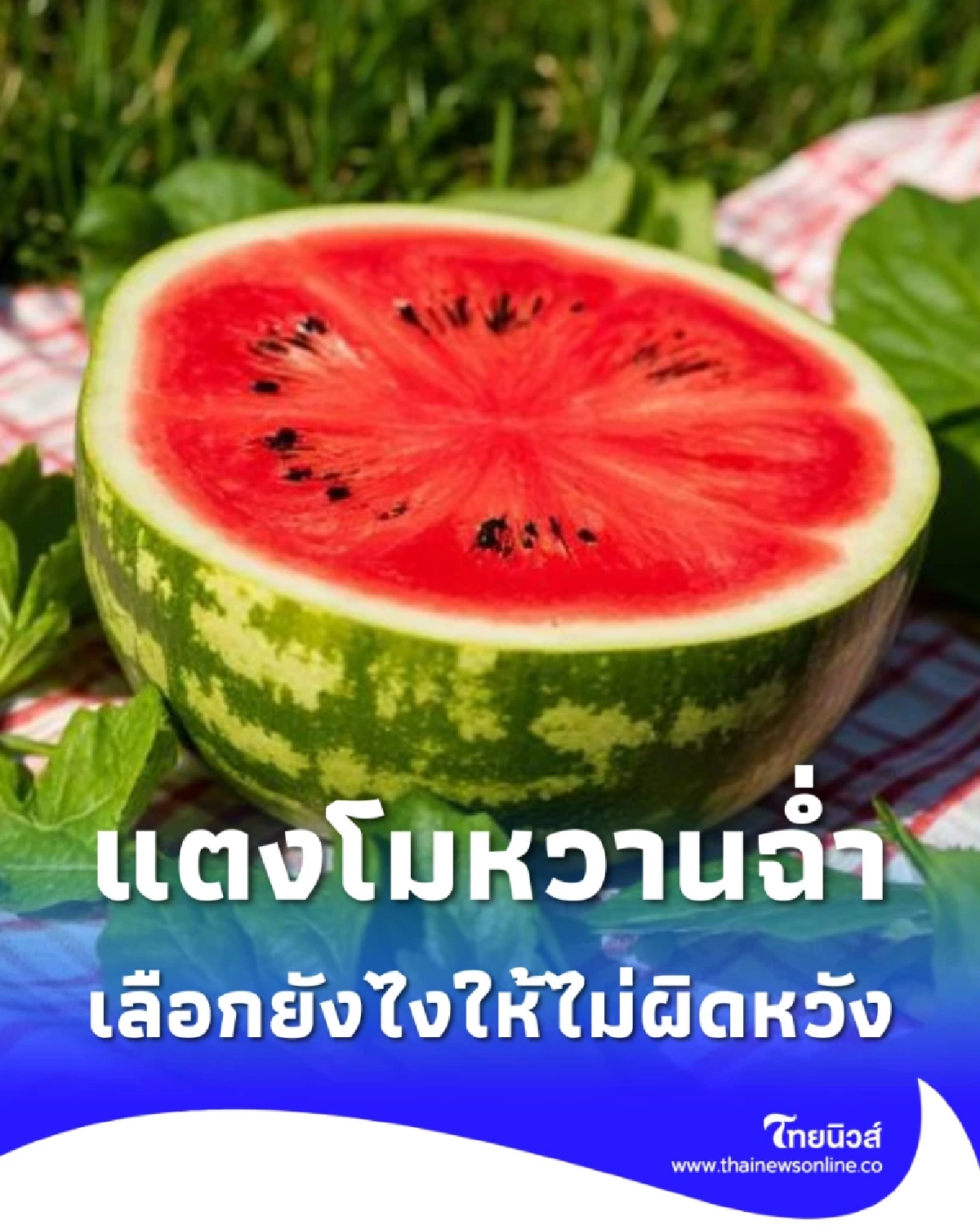 วิธีเลือกแตงโม หวานฉ่ำ ชื่นใจ เนื้อดี รับรองไม่มีผิดหวัง