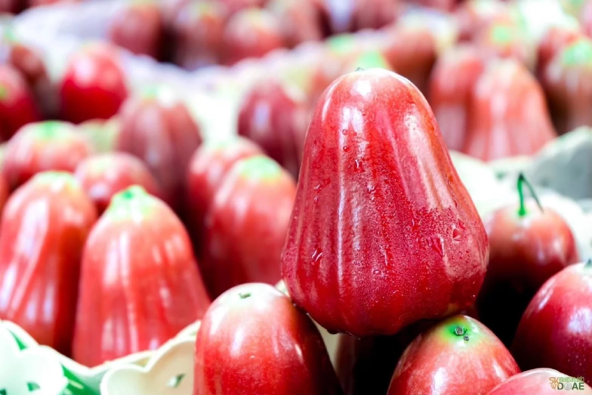 หวาน กรอบ เอกลักษณ์ ชมพู่คลองหาด สินค้า GI ใหม่ กวาด 70 ล้านต่อปี