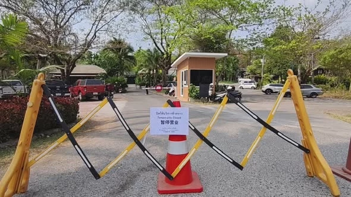 เผยแล้วสาเหตุแท้จริง เสือโคร่ง 72 ตัว ดับปริศนา จ.เชียงใหม่