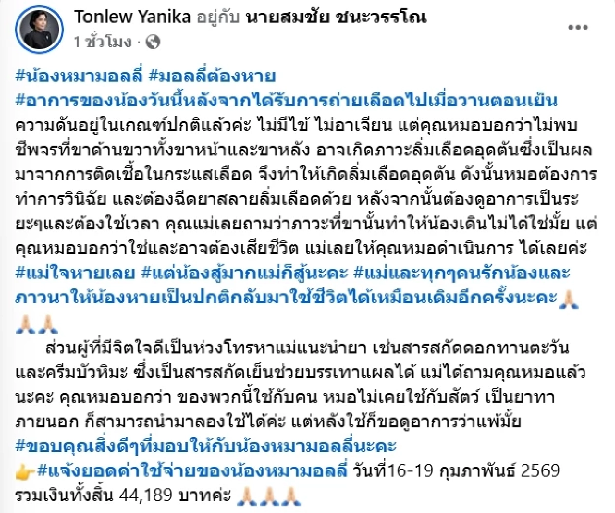 เปิดค่ารักษา น้องมอลลี่ เจ้าของลั่นสู้ขนาดนี้ จะยอมแพ้ได้ยังไง