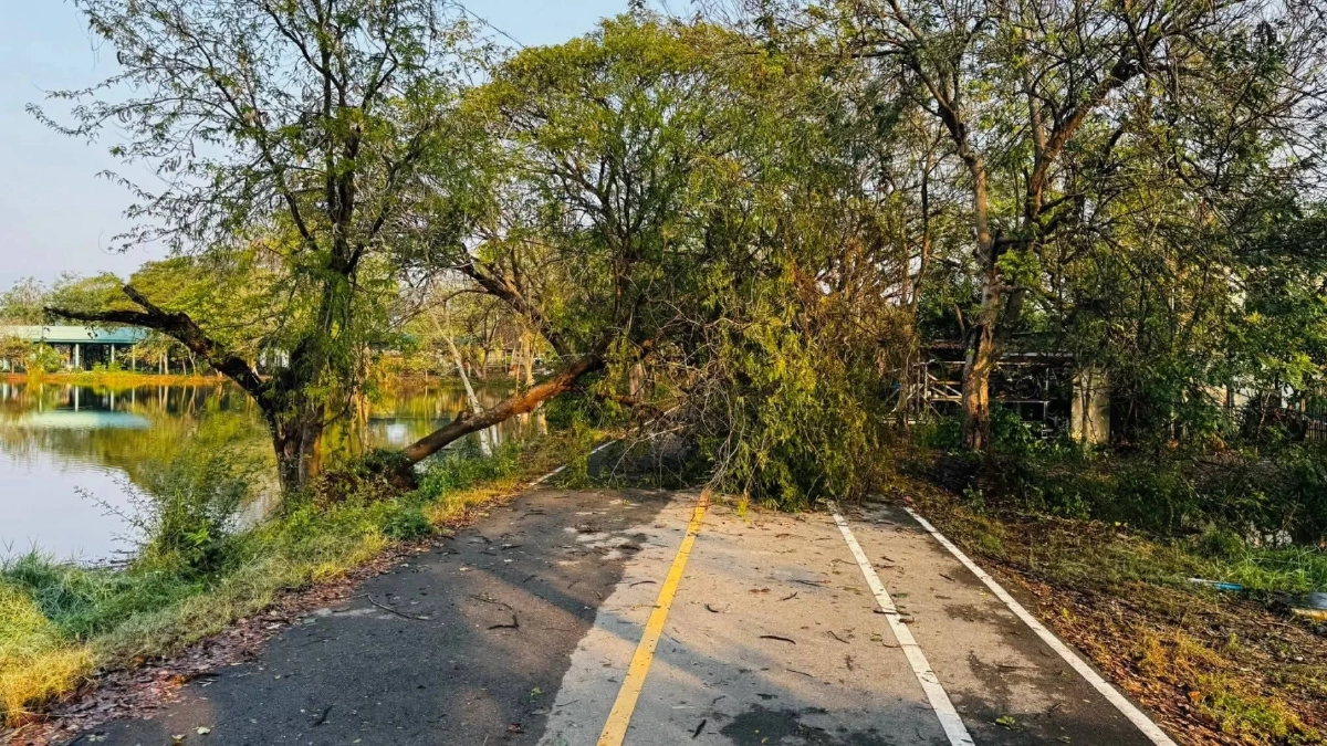 ภาพ @อำเภอจอมทอง จังหวัดเชียงใหม่ 