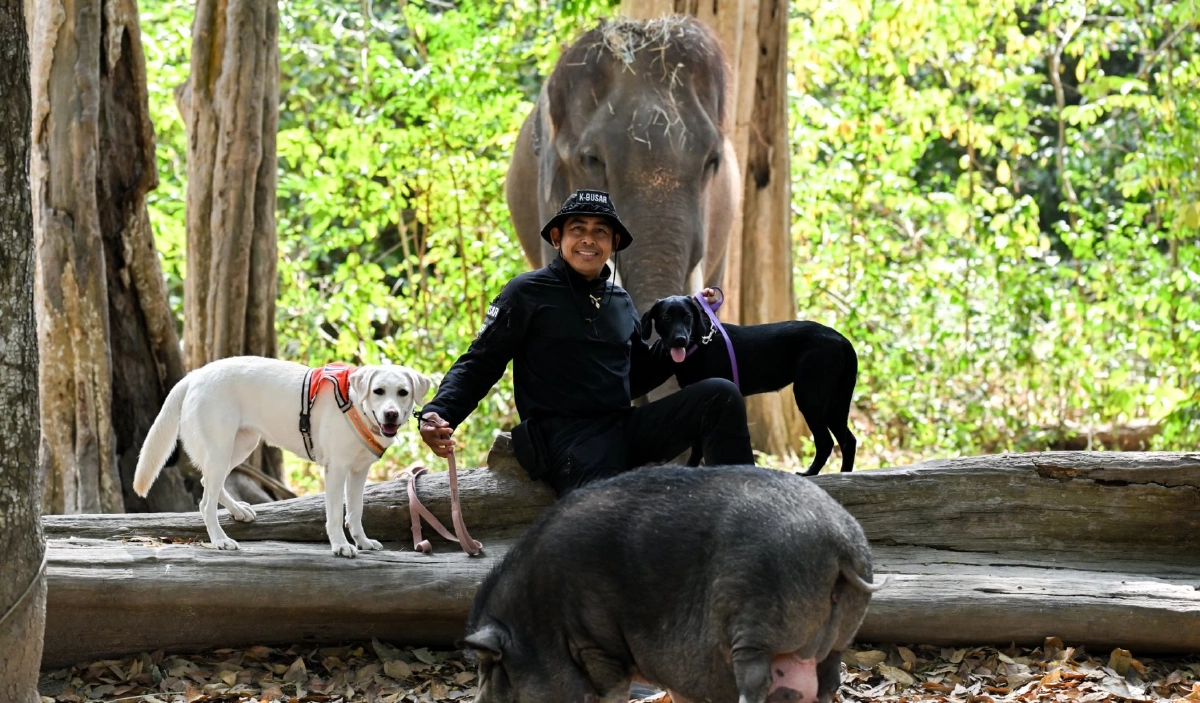 ภาพ @Alongkot Chukaew