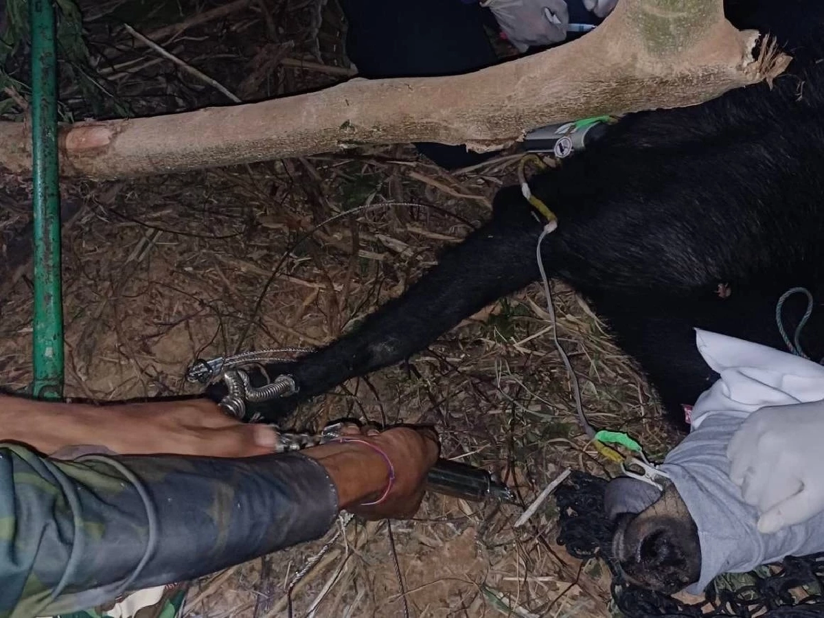 นาทีระทึก! ช่วยเลียงผาติดบ่วงสลิง ขาขวาบาดเจ็บหนัก