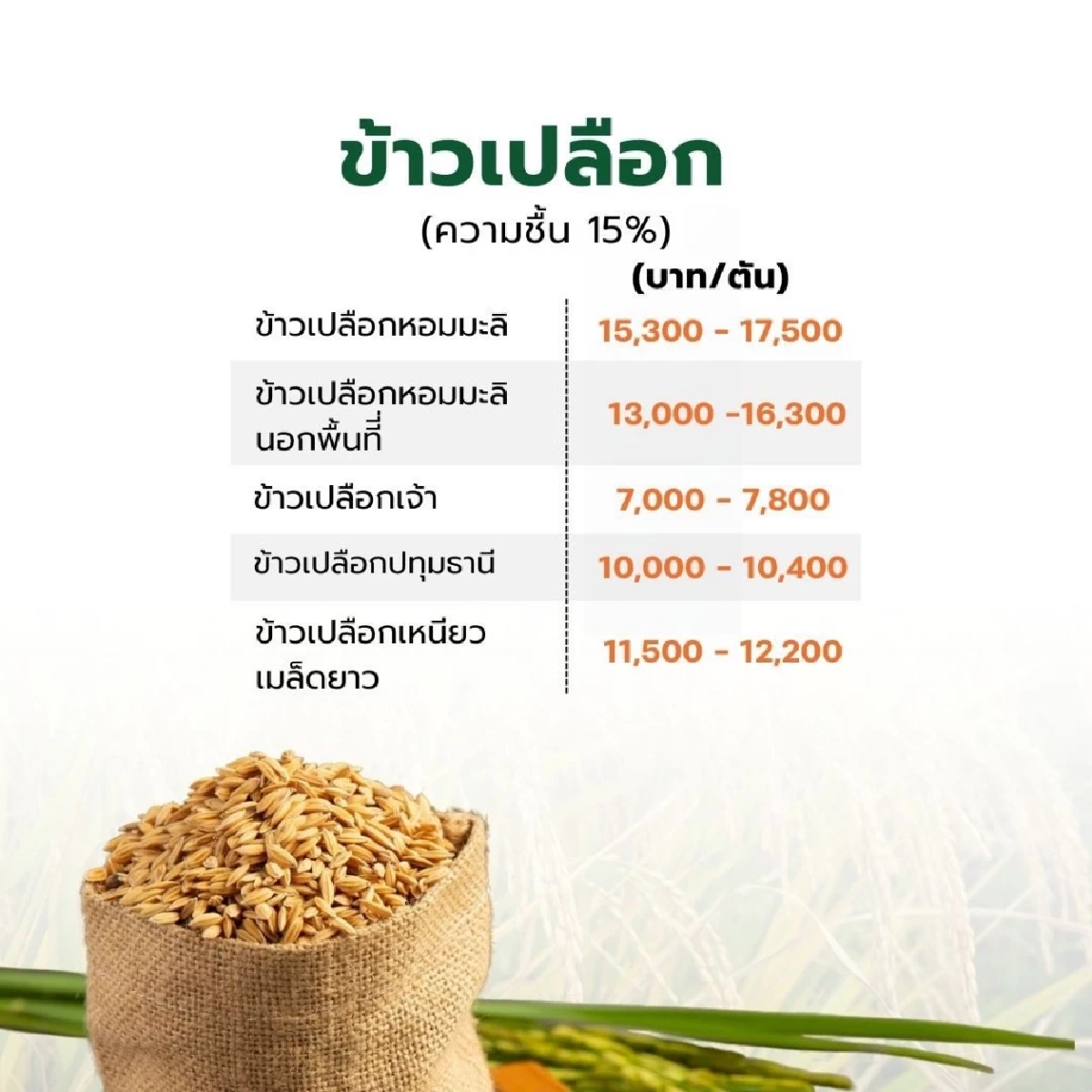 อัปเดตราคาสินค้าเกษตร 19 ก.พ. 2569 พืชเศรษฐกิจหลัก 4 รายการ