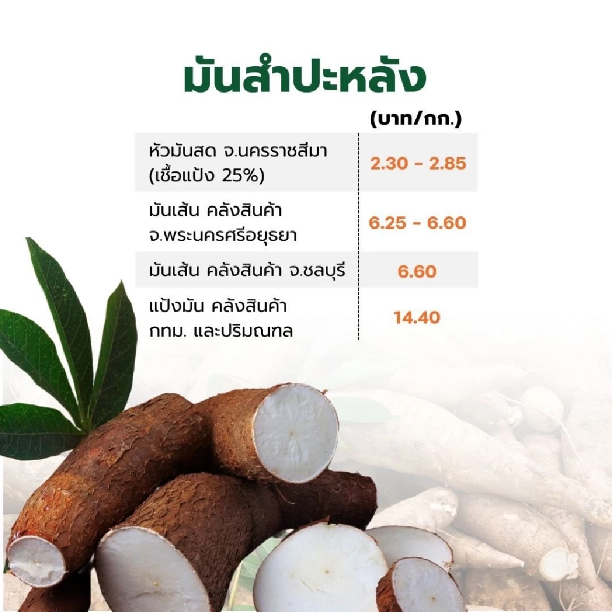 อัปเดตราคาสินค้าเกษตร 19 ก.พ. 2569 พืชเศรษฐกิจหลัก 4 รายการ