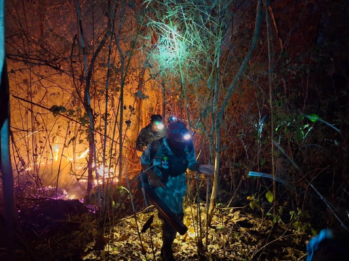 ภาพ @กรมอุทยานแห่งชาติ สัตว์ป่า และพันธุ์พืช