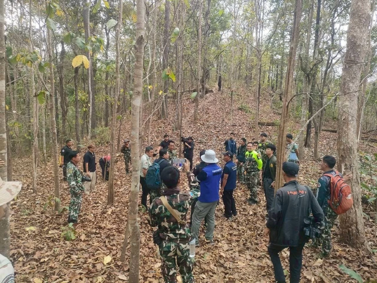 อธิบดีฯ สั่งระดมกำลังโดรนและกล้องดักถ่าย ตามหาเสือโคร่งดอยอินทนนท์