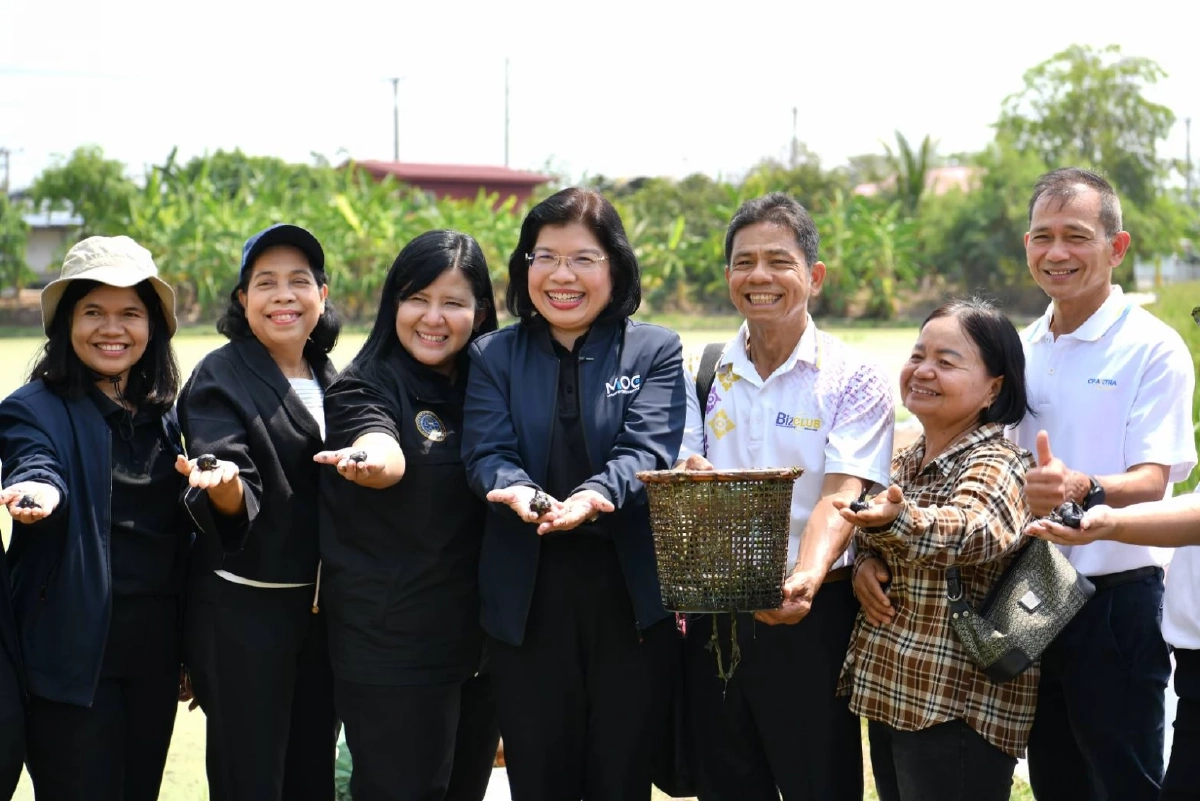 GI "แห้วสุพรรณ" กรมทรัพย์สินทางปัญญา ชูศักยภาพต่อยอดเพิ่มมูลค่า บุกตลาดอาหารสุขภาพ