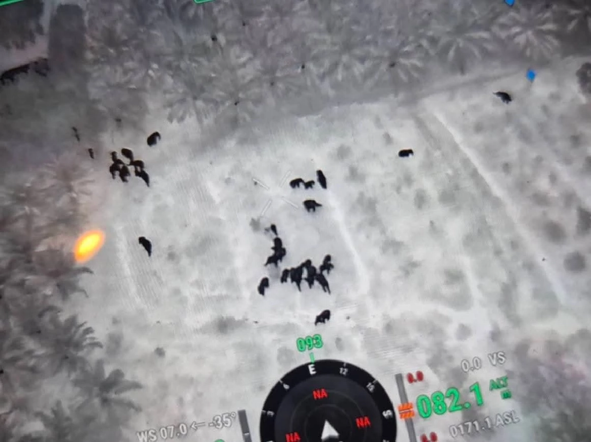 ด่วน! สั่งคุมเข้มช้างป่าบุกชุมชน 5 จังหวัด เฝ้าระวัง 24 ชม. 