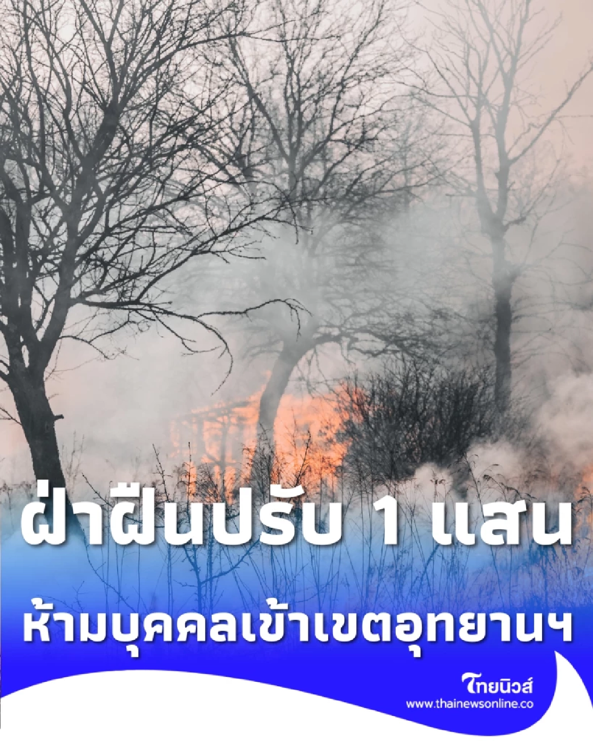 ภูกระดึงประกาศเขตห้ามเข้า ฝ่าฝืนปรับ 1 แสน ท่ามกลางวิกฤตไฟป่ารุนแรง