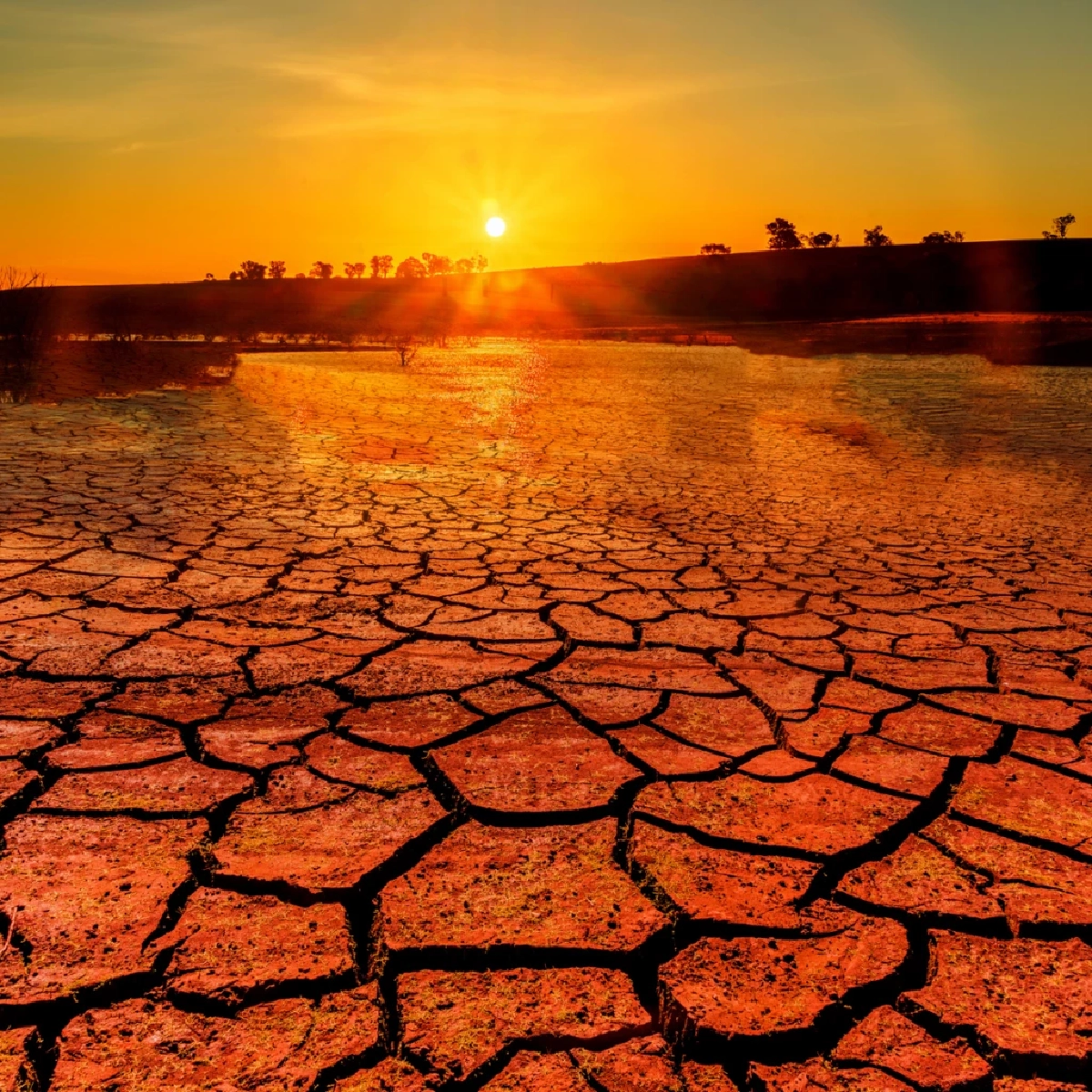 เตรียมรับมือ! โลกจ่อทุบสถิติร้อนสุดในประวัติศาสตร์ปี 2027