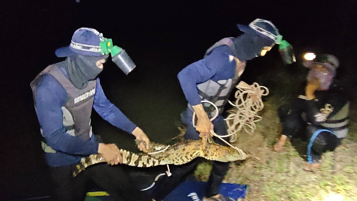 ยาย 69 คิดว่าตัวเงินตัวทอง คว้ากระบวยเคาะกบาลก่อนรู้ความจริง