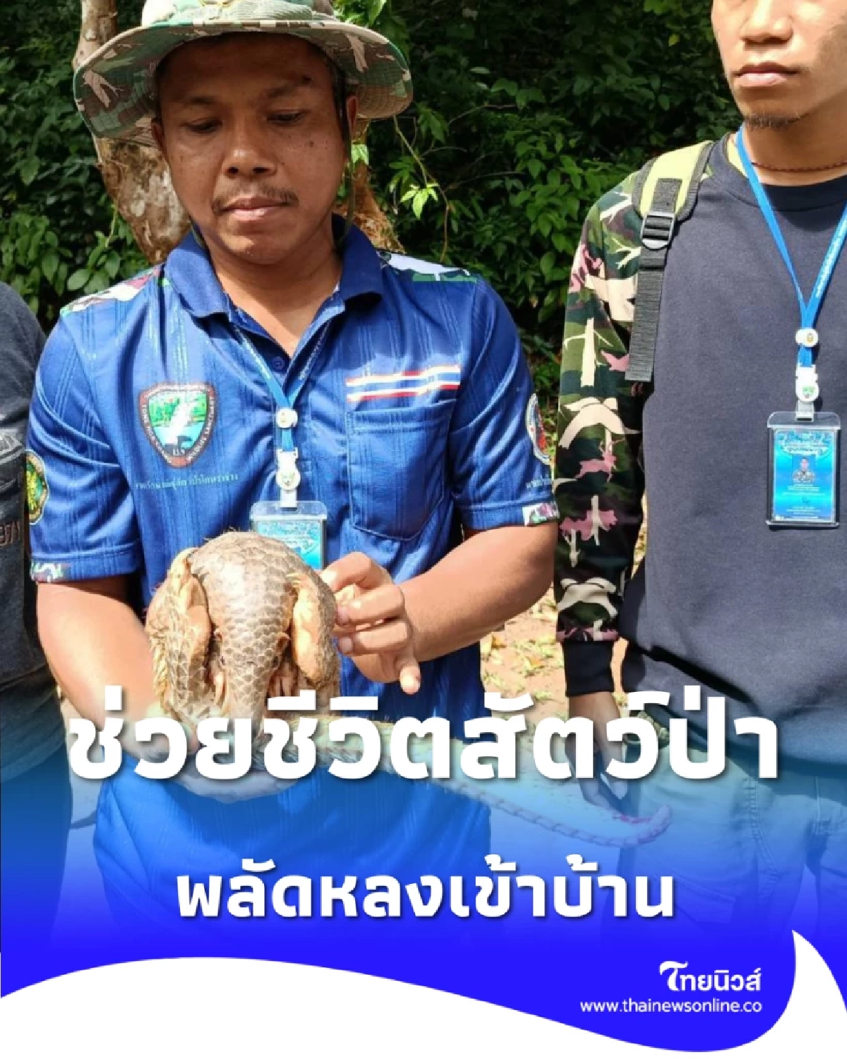  ตัวอะไรหลงเข้าบ้าน พลเมืองดีรีบแจ้งเจ้าหน้าที่ ช่วยชีวิตสัตว์ป่าหายากคืนป่า