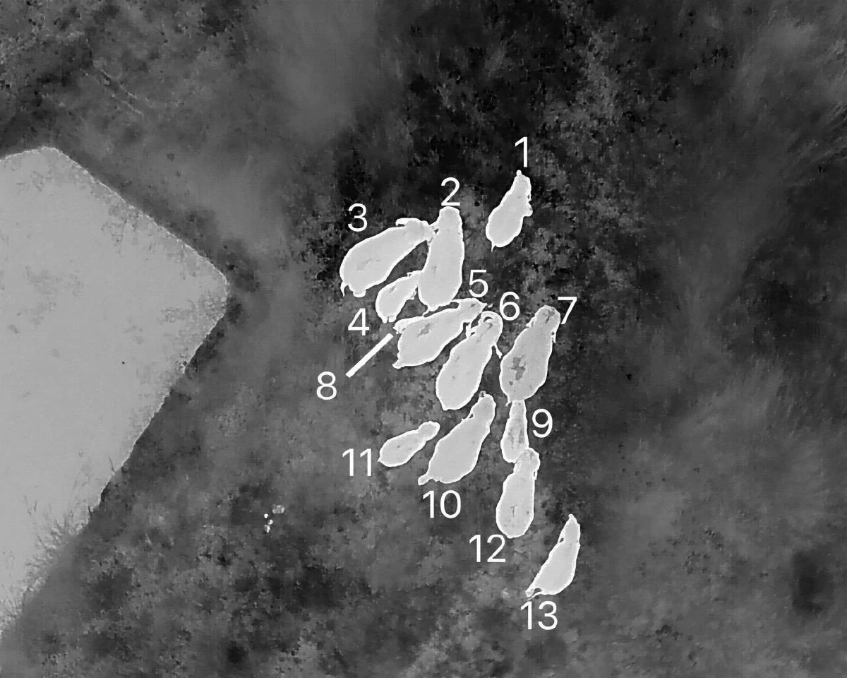 ที่มา : กรมอุทยานแห่งชาติ สัตว์ป่า และพันธุ์พืช