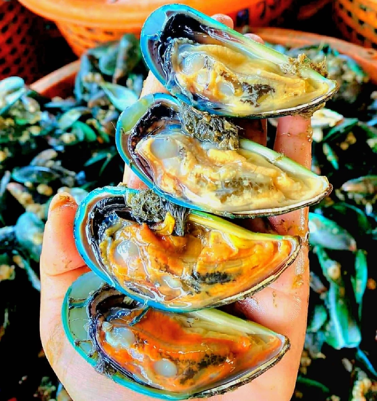 ช่วยชาวบ้าน! เจ๊เล็กทะเลสดเปิดขายราคาถูกสวนค่าน้ำมัน