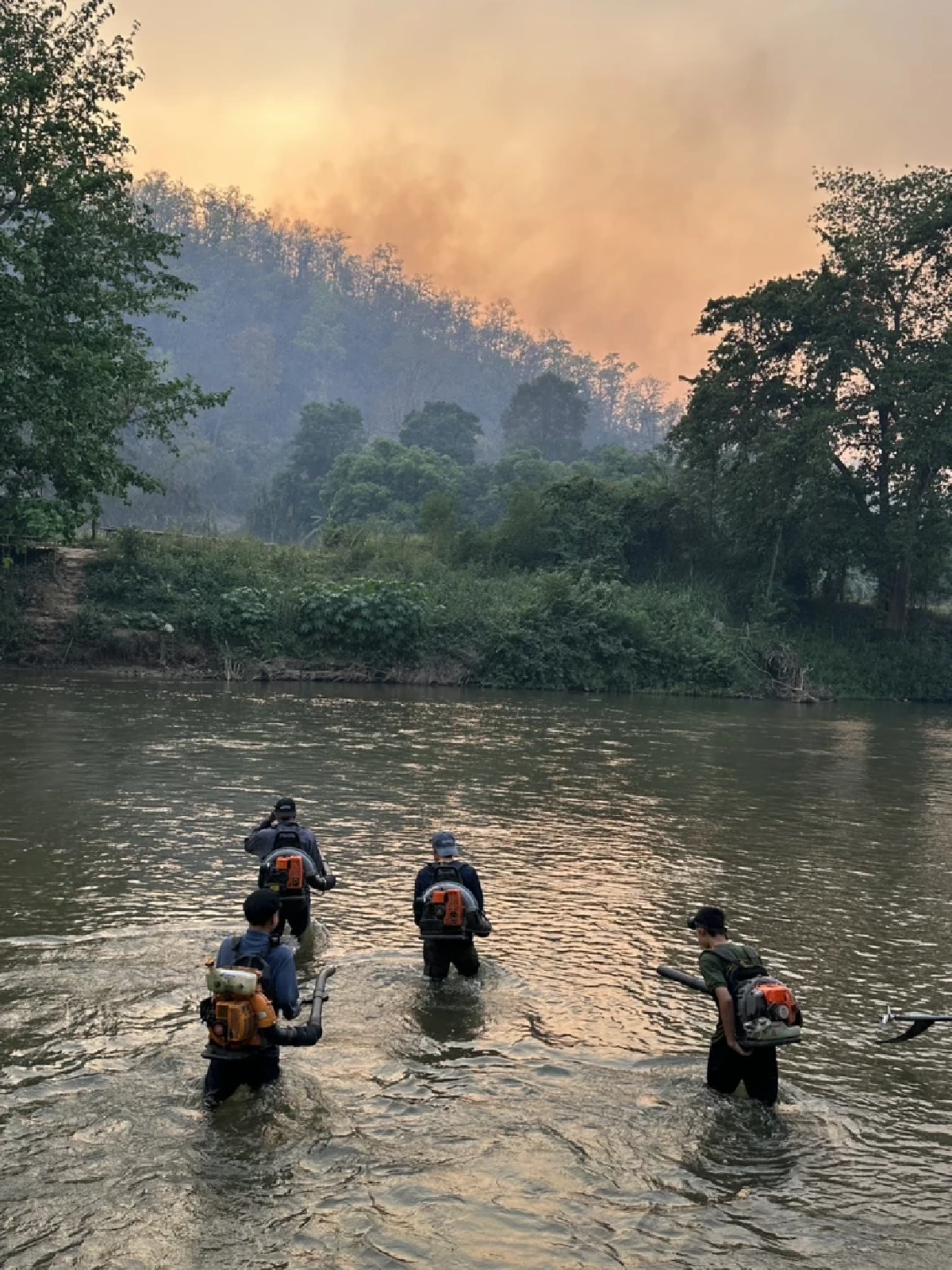 แม่ฮ่องสอนวิกฤต ไฟป่าพุ่ง 610 จุด ค่ามลพิษพุ่งแตะ 1,357 AQI