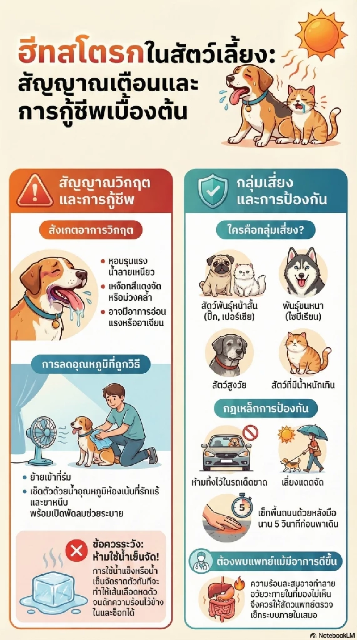 สัญญาณอันตราย เตือนเจ้าของเช็กด่วนอาการฮีทสโตรกในสัตว์เลี้ยง
