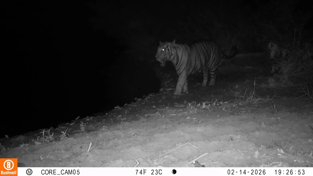 ภาพล่าสุด "ณเดช" โผล่กลางป่าแก่งกระจาน พร้อมจระเข้ไทยหายาก