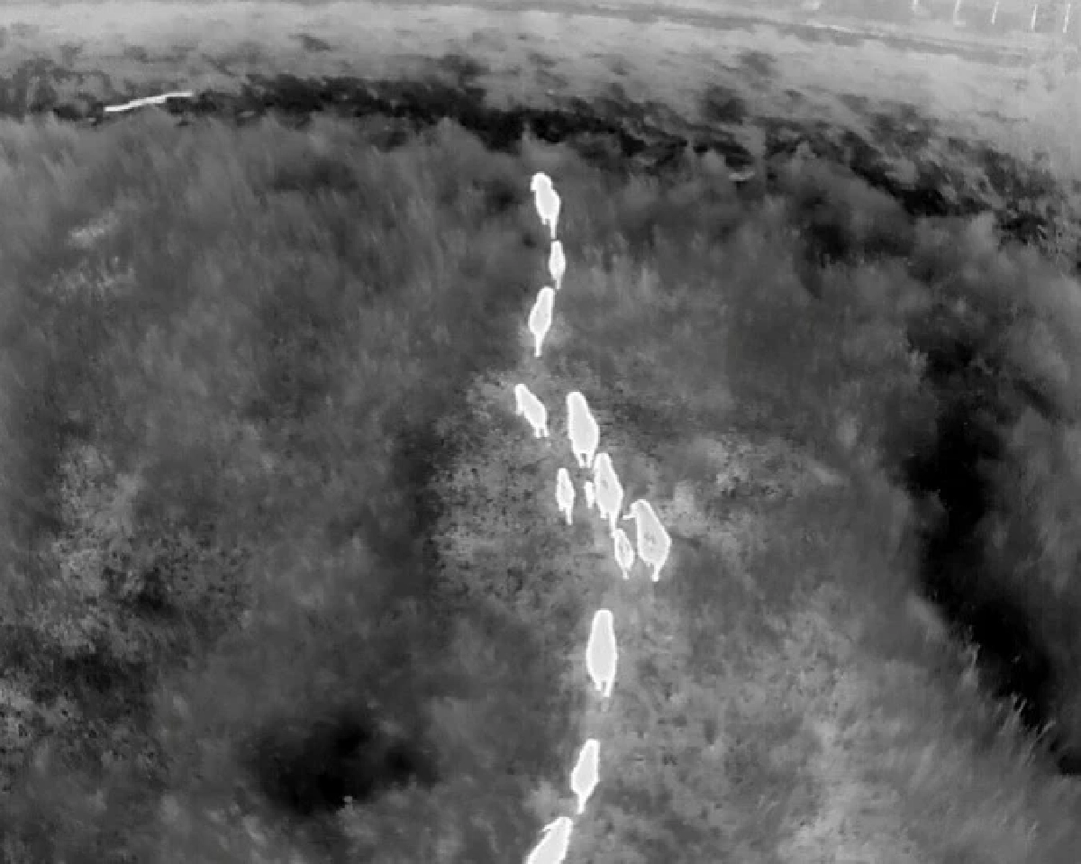 ที่มา : กรมอุทยานแห่งชาติ สัตว์ป่า และพันธุ์พืช