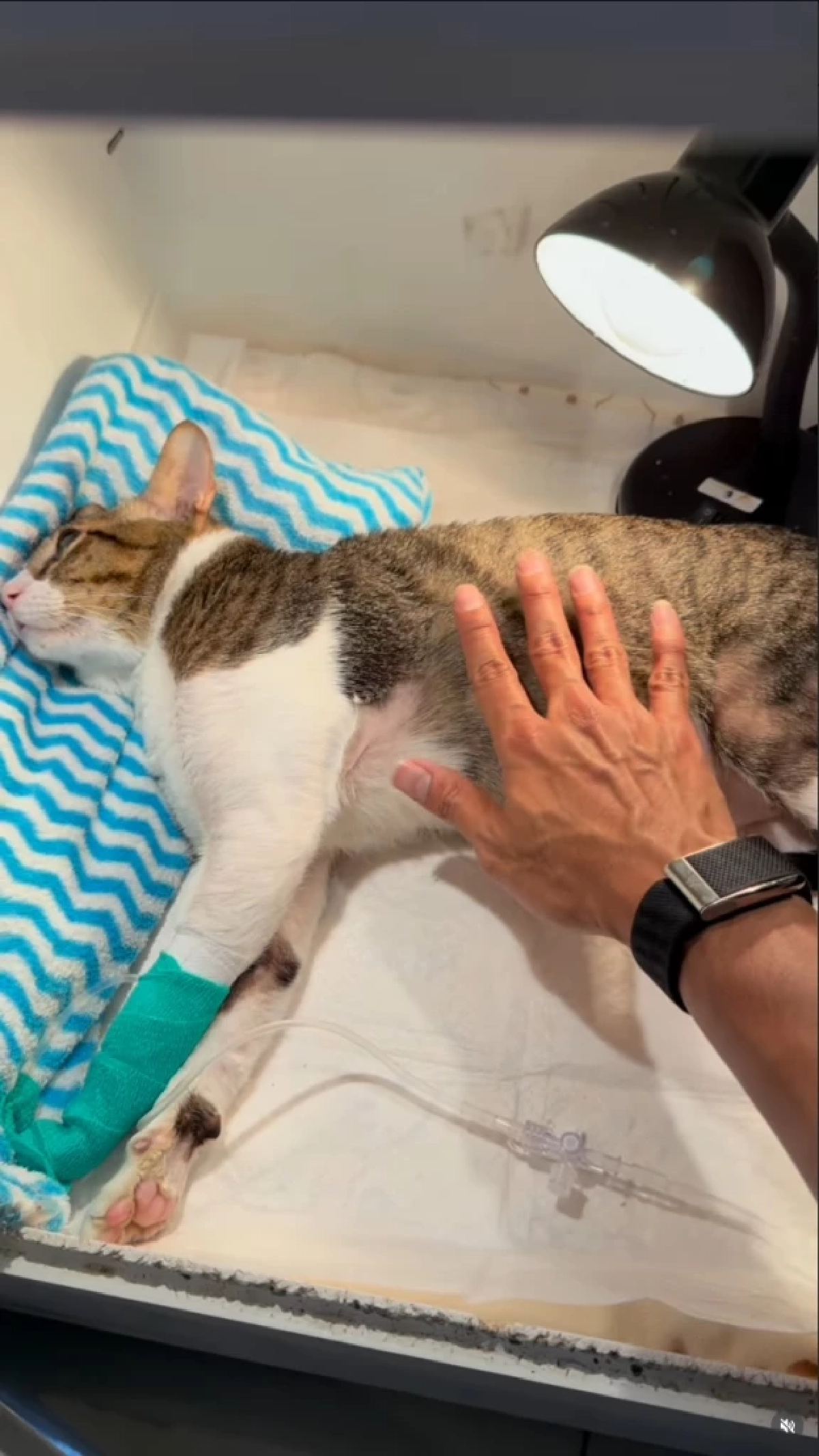 ภาพ @great_rider10