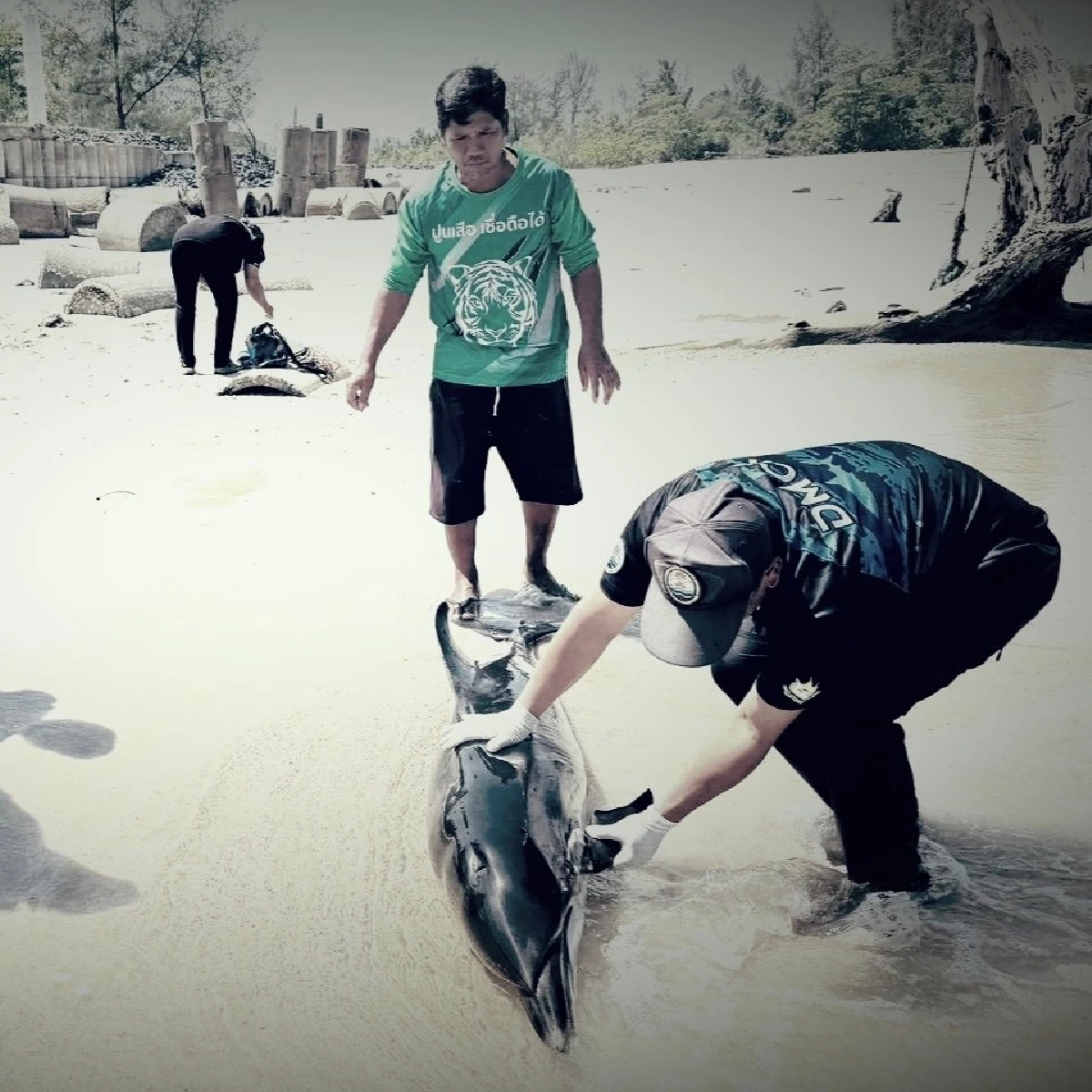 เร่งคลี่ปมสลด ร่างเกยตื้นริมหาด สูญเสียเศร้าอีกครั้ง