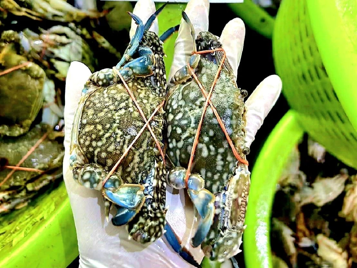 ช่วยชาวบ้าน! เจ๊เล็กทะเลสดเปิดขายราคาถูกสวนค่าน้ำมัน