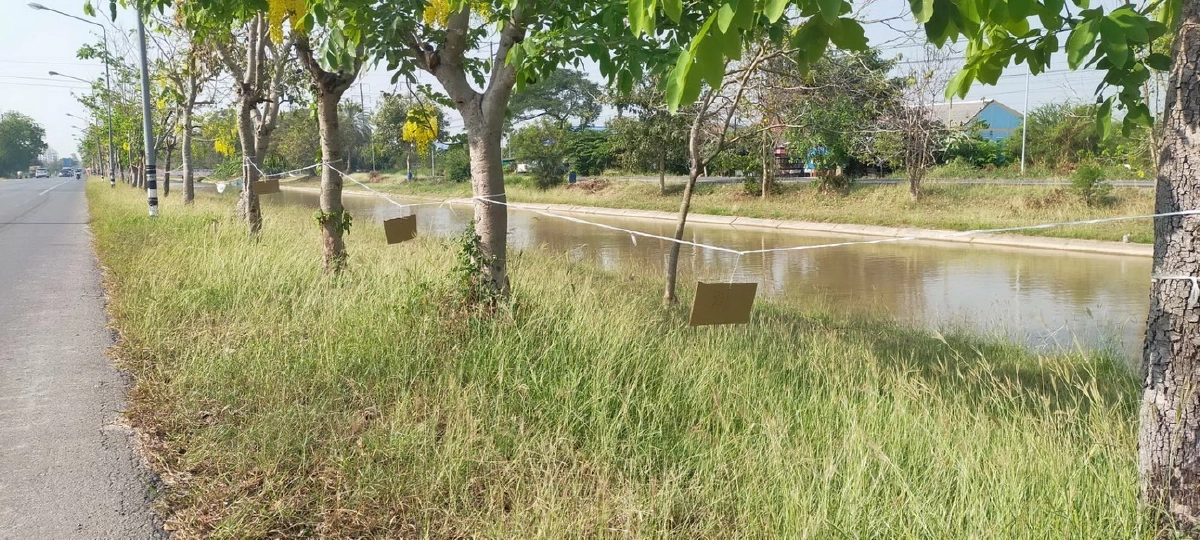 ชาวบ้านแห่ขึงเชือกจองที่ขายของถนนข้าวสุกรับสงกรานต์ปี 69