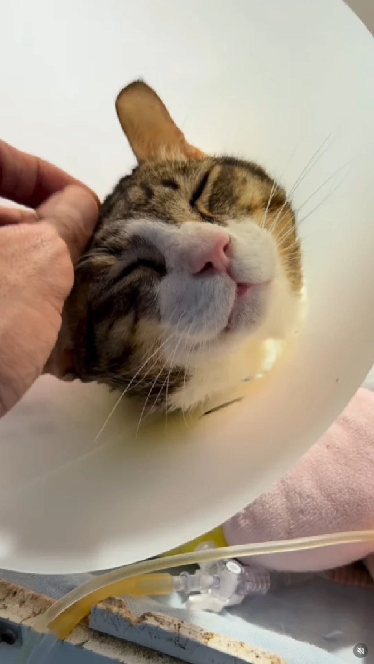 ภาพ @great_rider10