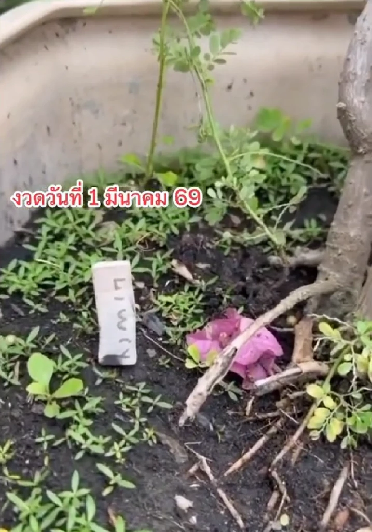 ส่อง มนต์สิทธิ์ สักการะพระธาตุพนม จุดธูปมงคล พร้อมเผยเลขที่ชอบ