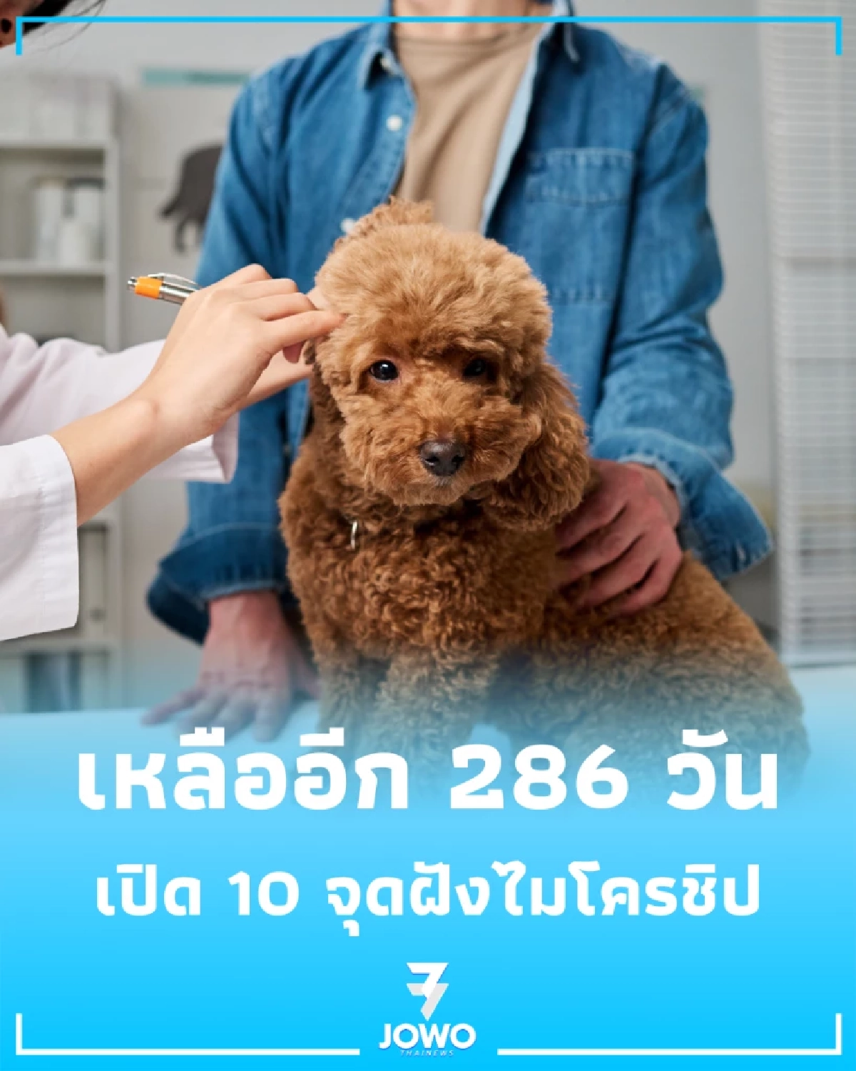 เปิด 10 จุดฝังไมโครชิป-จดทะเบียนฟรีทั่วกรุง เช็กด่วนก่อนหมดเขต