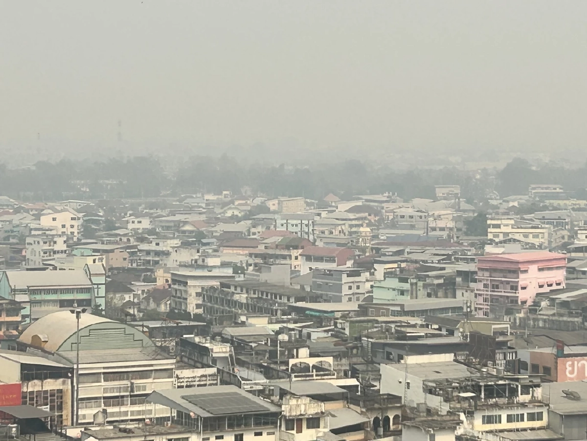 เชียงรายวิกฤต! ฝุ่นทะลุ 310 มคก. ป่าถูกเผาวอดกว่า 1.4 แสนไร่