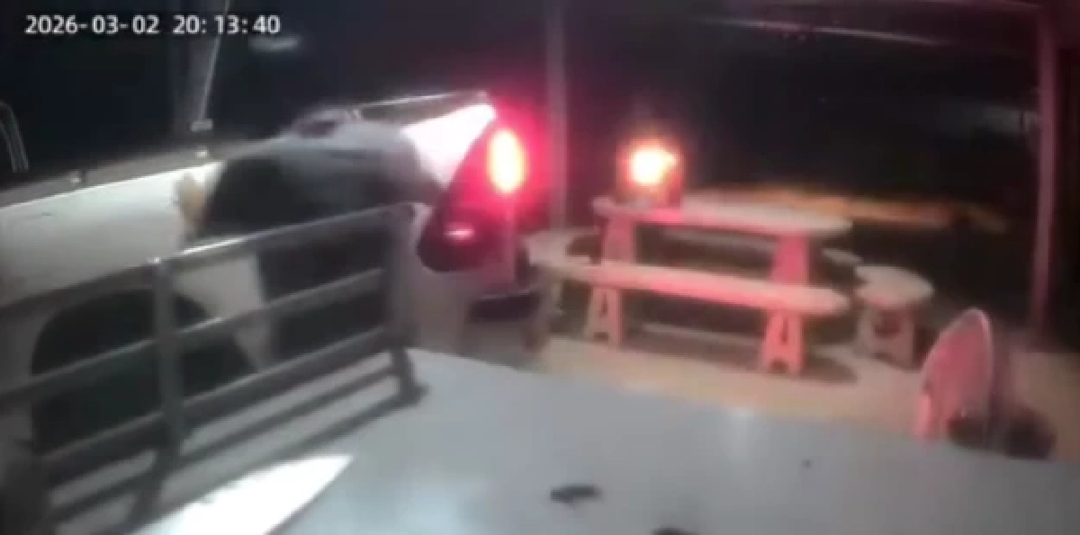 รู้แล้วสาเหตุ ชาย 62 ขับรถผ่ากลางวงกินเลี้ยง หลังเห็นภาพอดีตเมีย