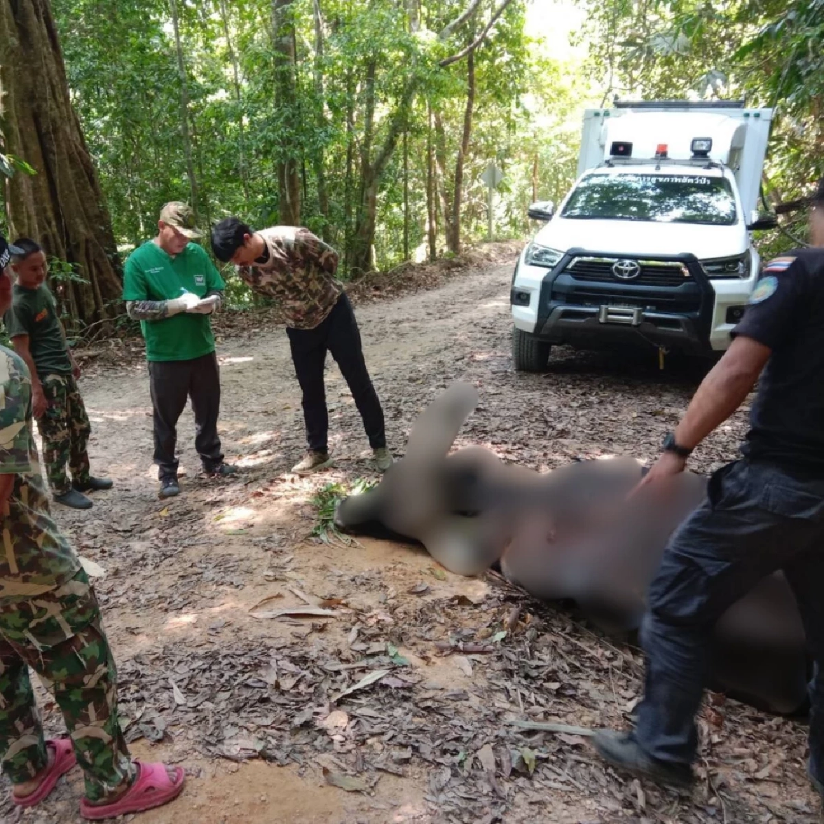 ที่มา : กรมอุทยานแห่งชาติ สัตว์ป่า และพันธุ์พืช