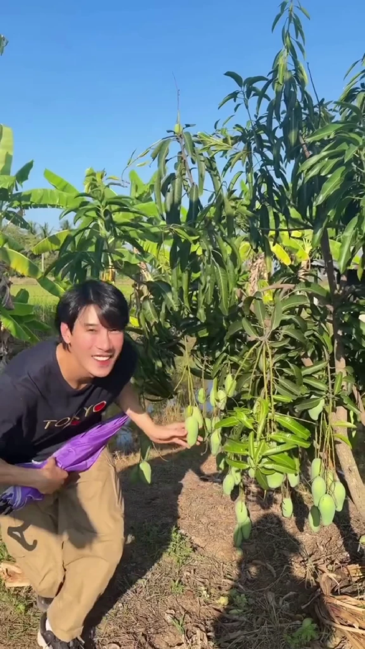  จากพระเอกสู่เกษตรกร เคน ภูภูมิ พาชมสวนมะม่วง–กล้วย ปลอดสาร 100%