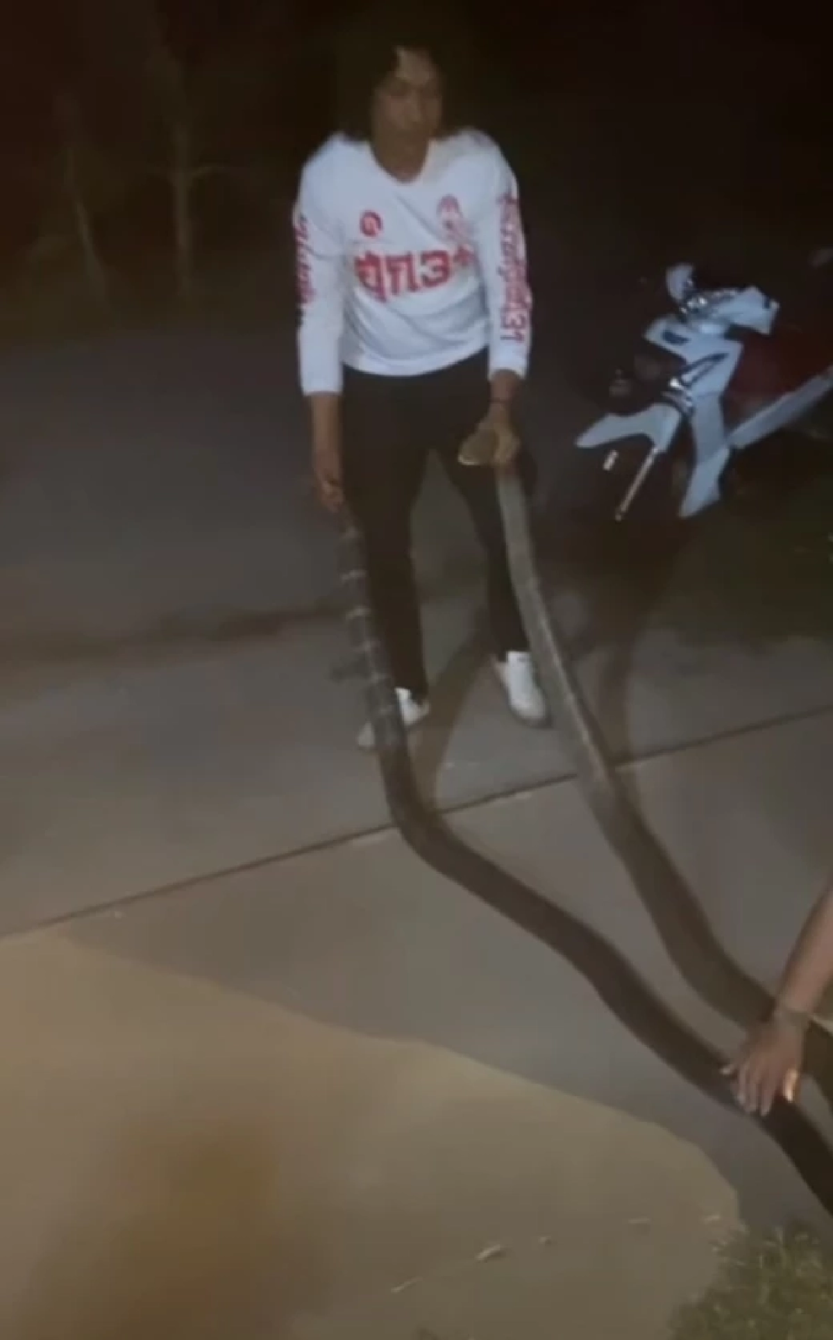 เปิดบ้านเลขที่ งูจงอางขนาดใหญ่ 2 ตัว เปิดศึกกลางลานบ้าน