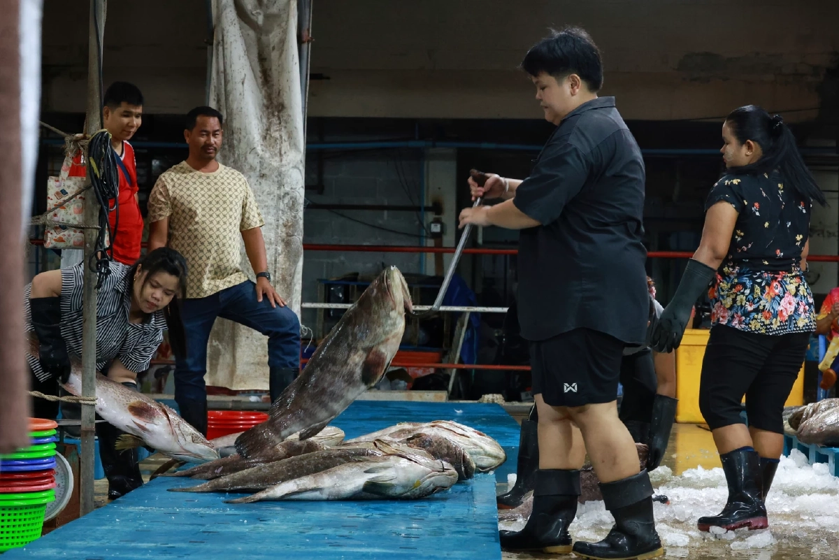 แพปลาโอดน้ำมันพุ่ง-ต้นทุนพุ่ง 30% วอนรัฐคุมราคาอุปกรณ์ด่วน