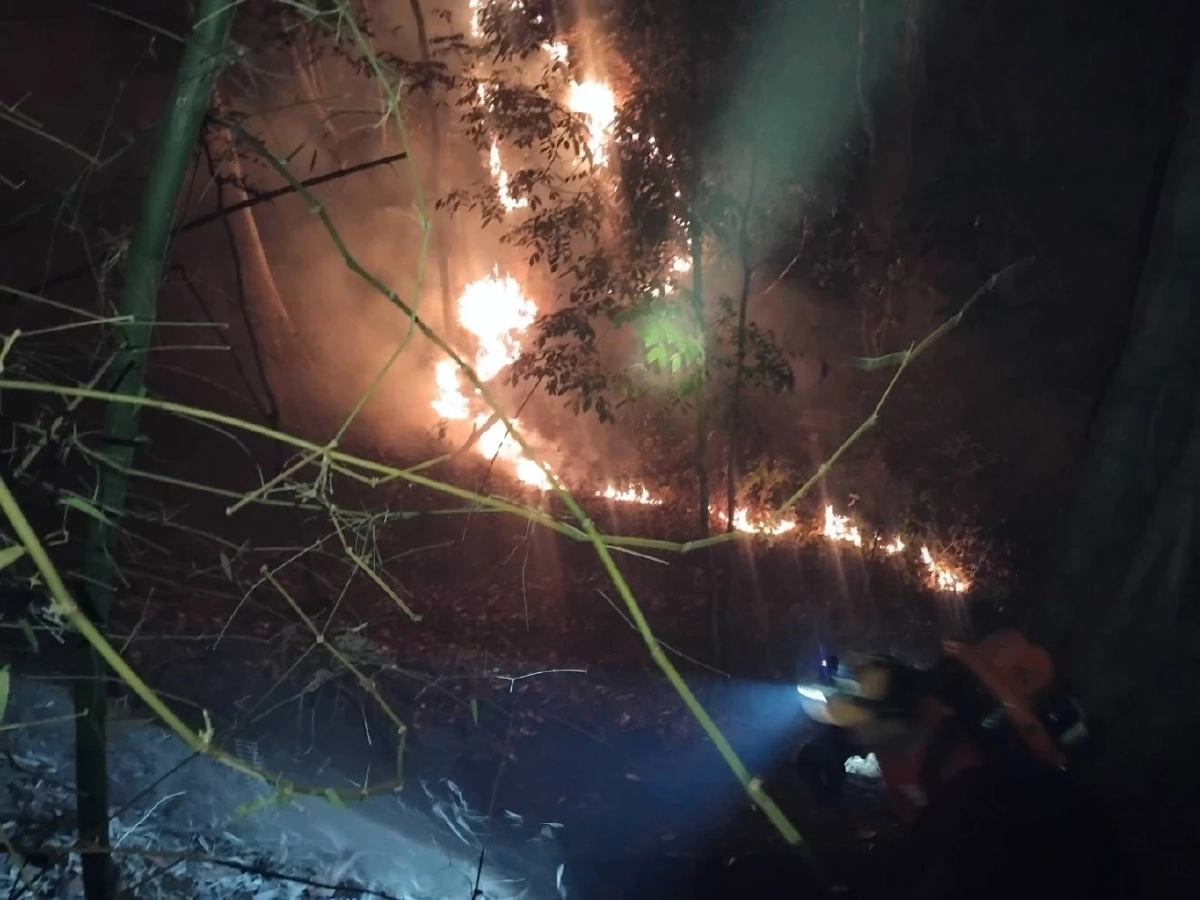 จนท.ดับไฟป่าลื่นตกดอยแขนหัก ขณะสกัดเพลิงคลั่งรอยต่อ 2 อำเภอ