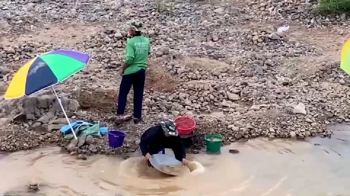 ชาวบ้านปากชมพลิกวิกฤตน้ำโขงลด ร่อนทองสร้างรายได้เสริม