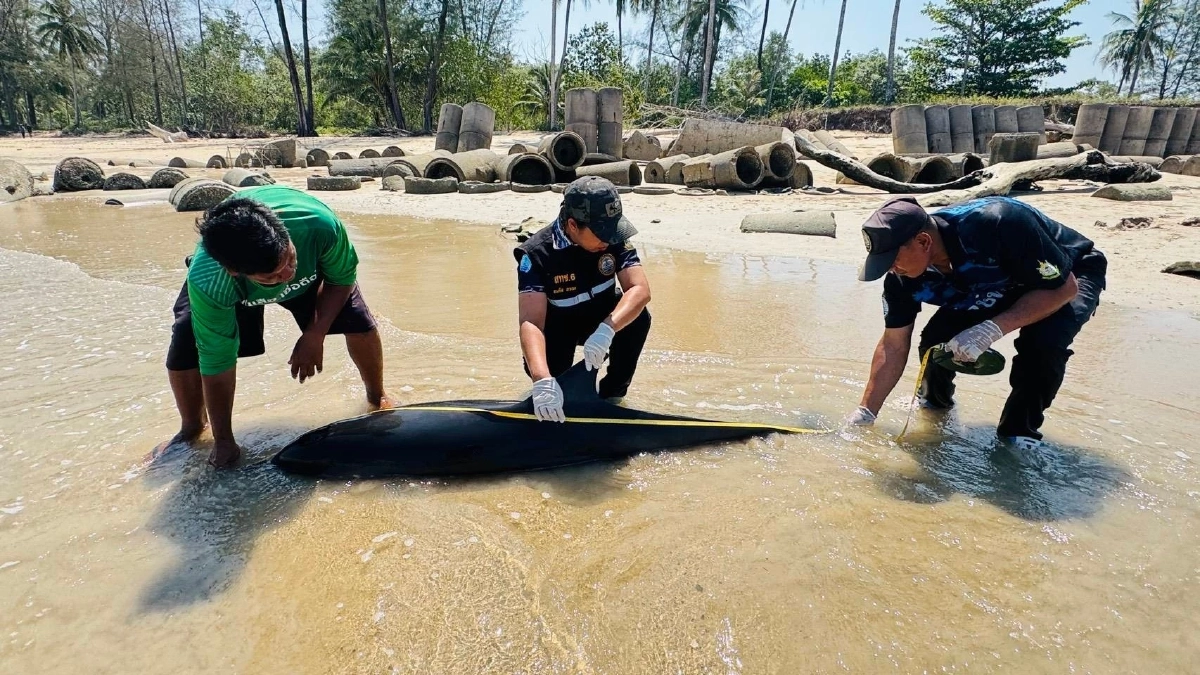 เร่งคลี่ปมสลด ร่างเกยตื้นริมหาด สูญเสียเศร้าอีกครั้ง