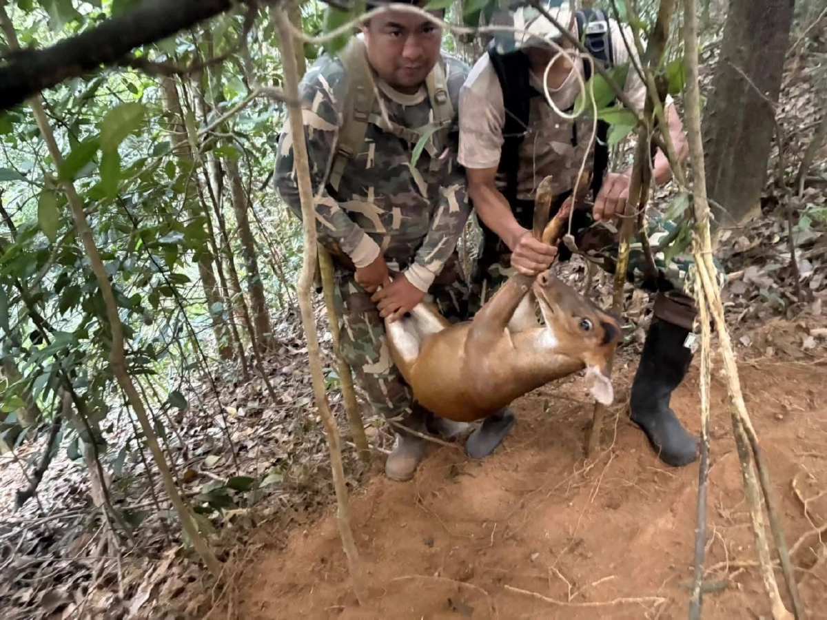 ที่มา : กรมอุทยานแห่งชาติ สัตว์ป่า และพันธุ์พืช