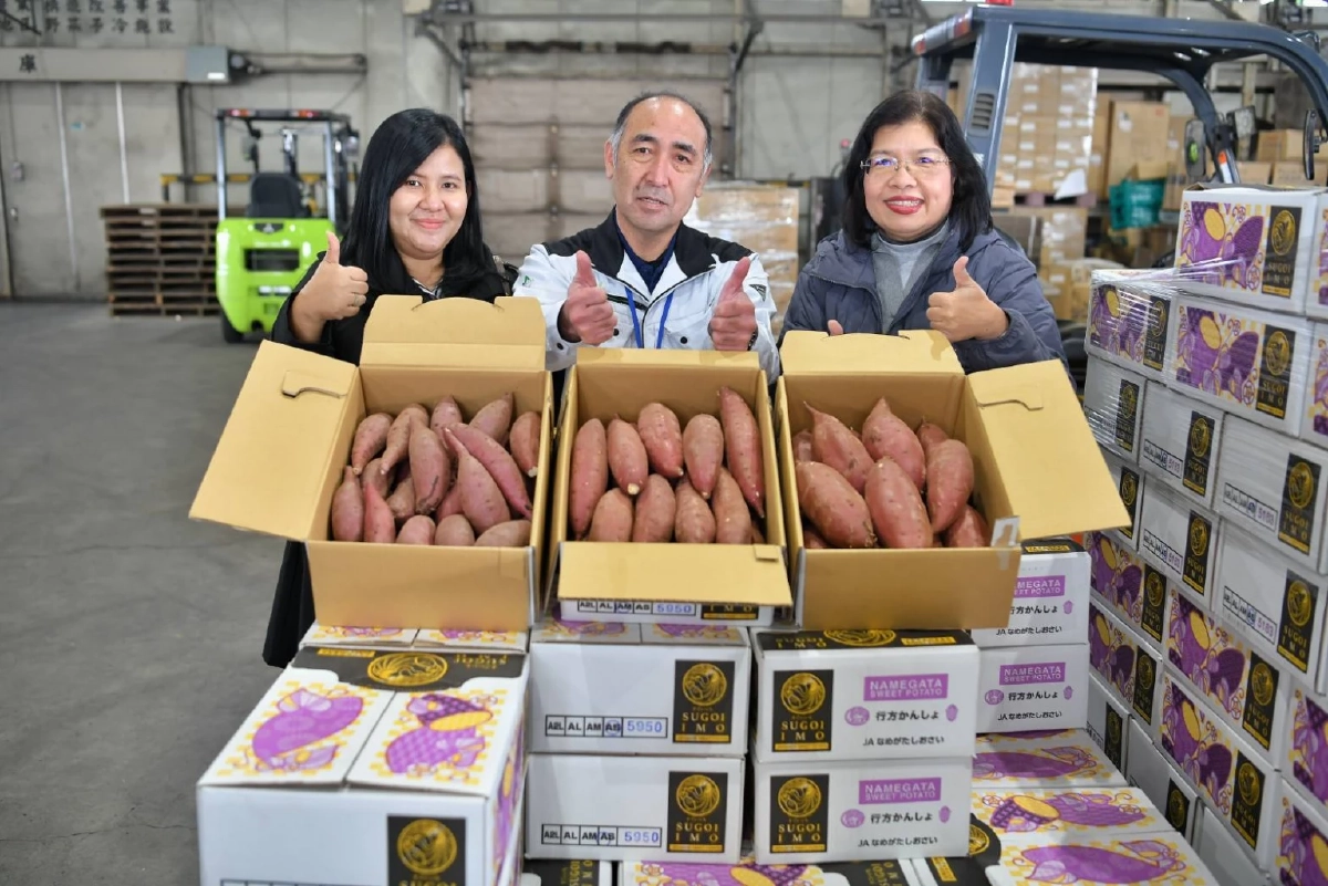 กรมทรัพย์สินทางปัญญา บุกญี่ปุ่น ศึกษาโมเดลปลูกมันหวาน ยกระดับ GI ไทย สู่ตลาดพรีเมียมโลก