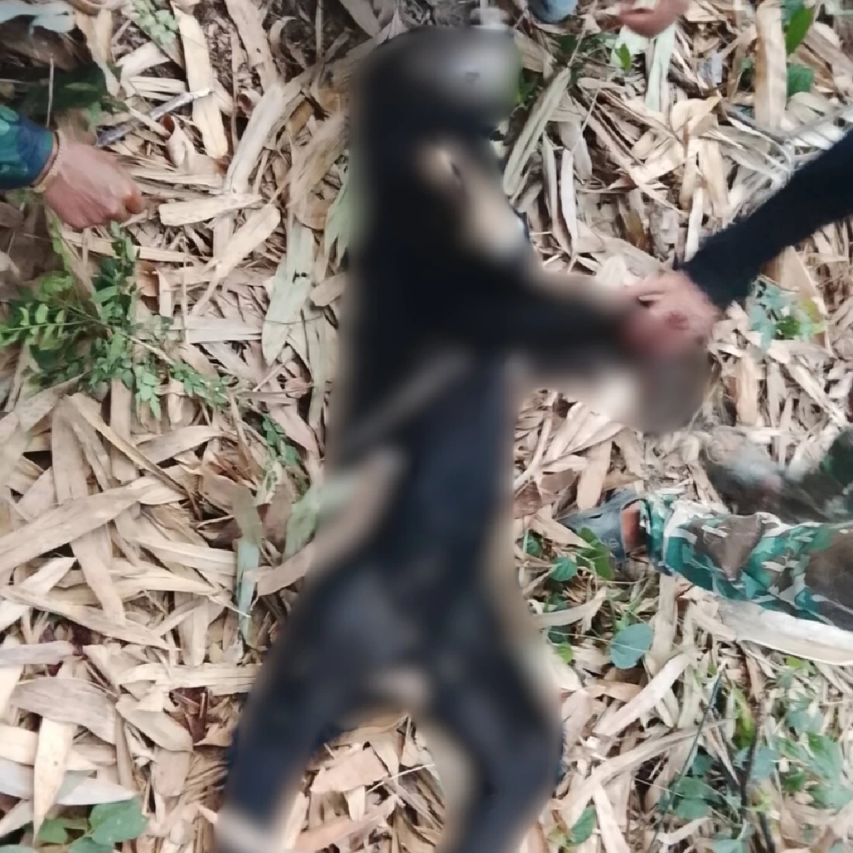 ที่มา : กรมอุทยานแห่งชาติ สัตว์ป่า และพันธุ์พืช