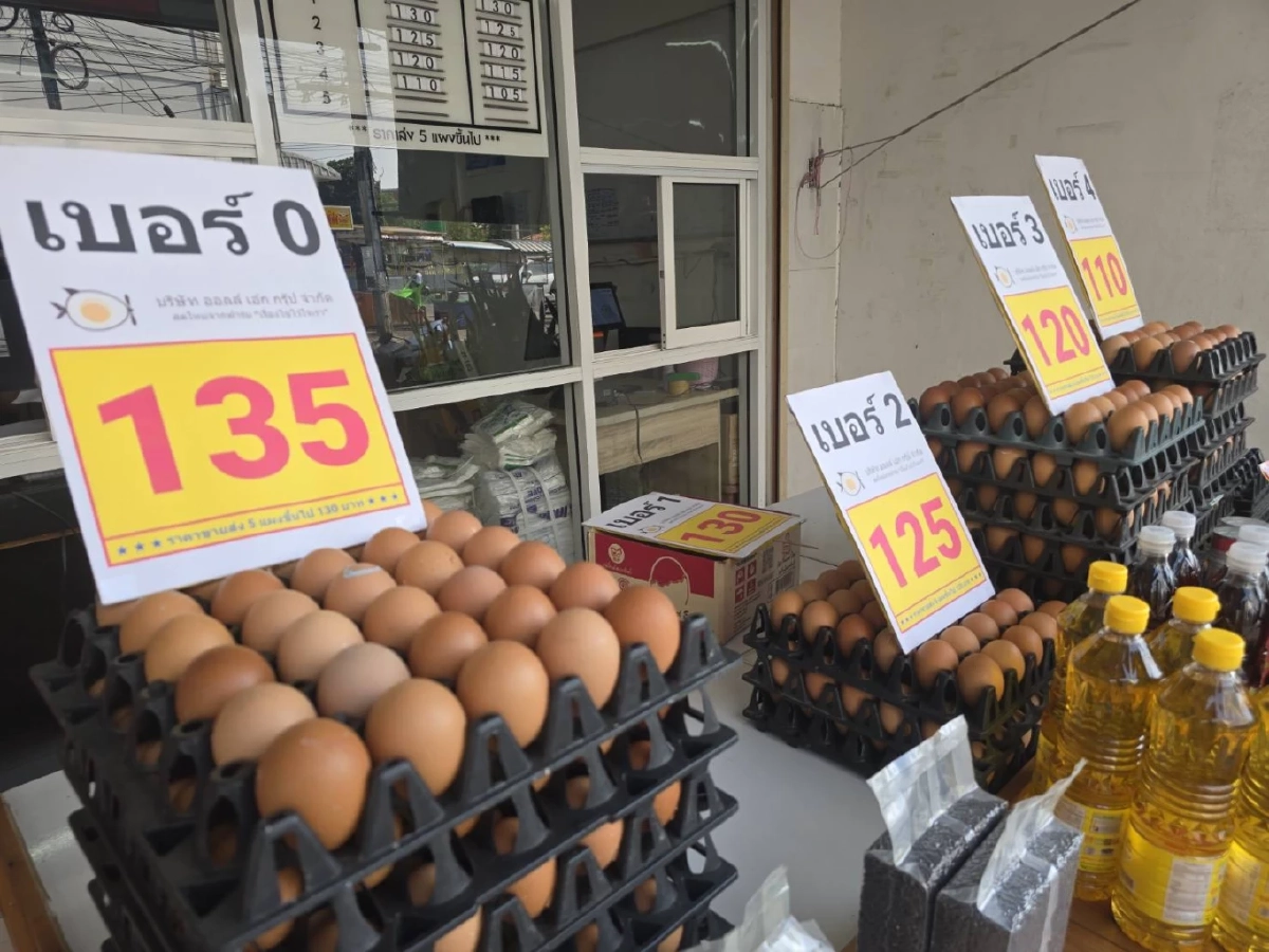 พ่อค้าแม่ค้าบุรีรัมย์โอด ไข่ไก่ปรับราคาขึ้น 2 รอบในเดือนเดียว