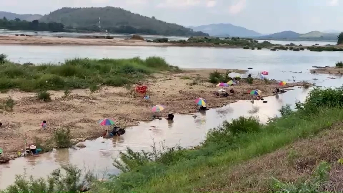 ชาวบ้านปากชมพลิกวิกฤตน้ำโขงลด ร่อนทองสร้างรายได้เสริม