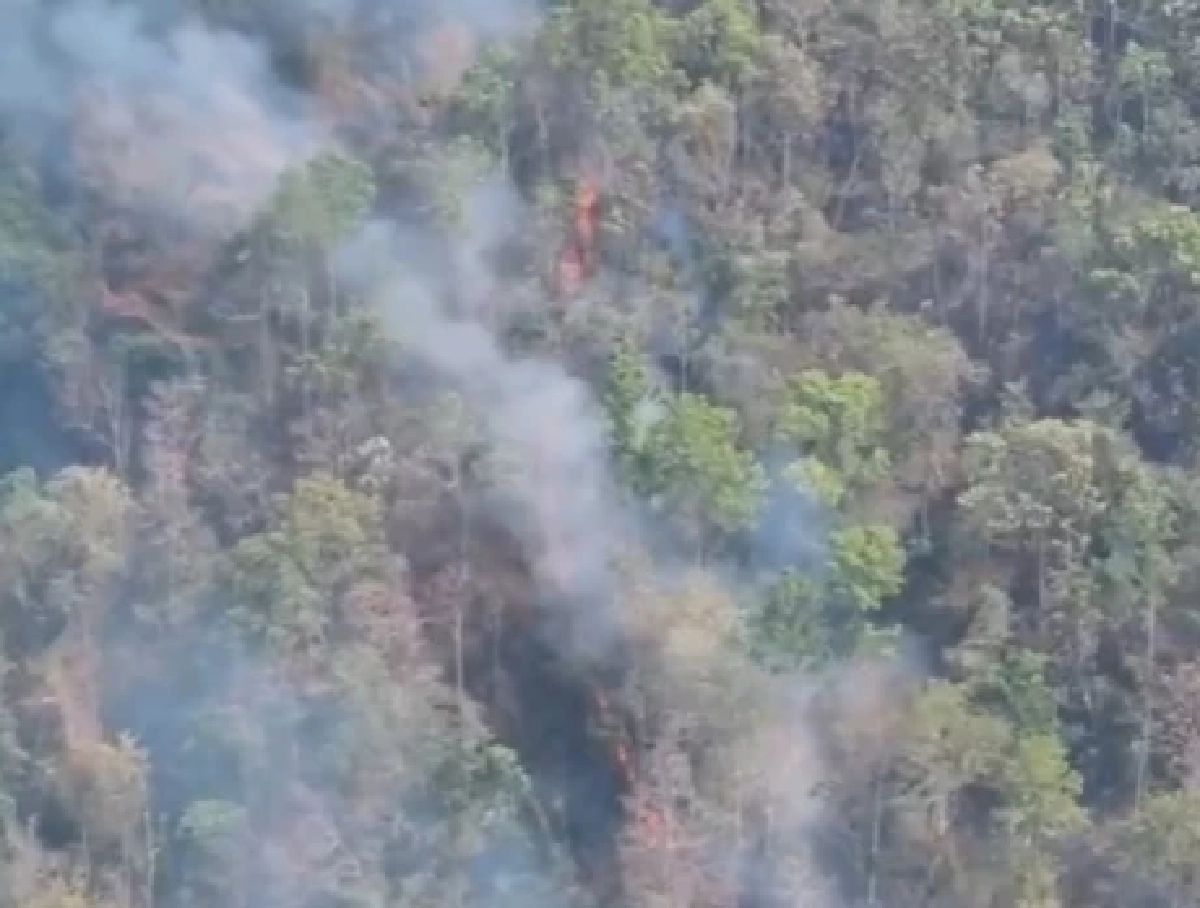 เชียงใหม่วิกฤต! เชียงดาวไฟท่วม 787 จุด จับมือเผาคาหนังคาเขา