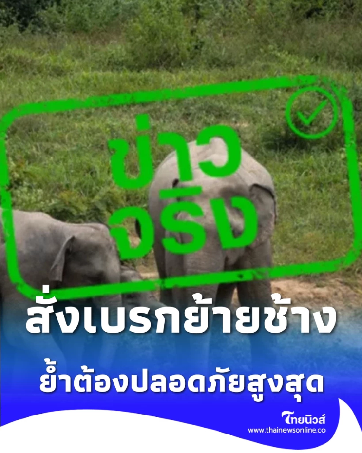 กรมอุทยานฯ สั่งเบรกย้ายช้างป่าทั่วประเทศ ย้ำต้องปลอดภัยสูงสุด