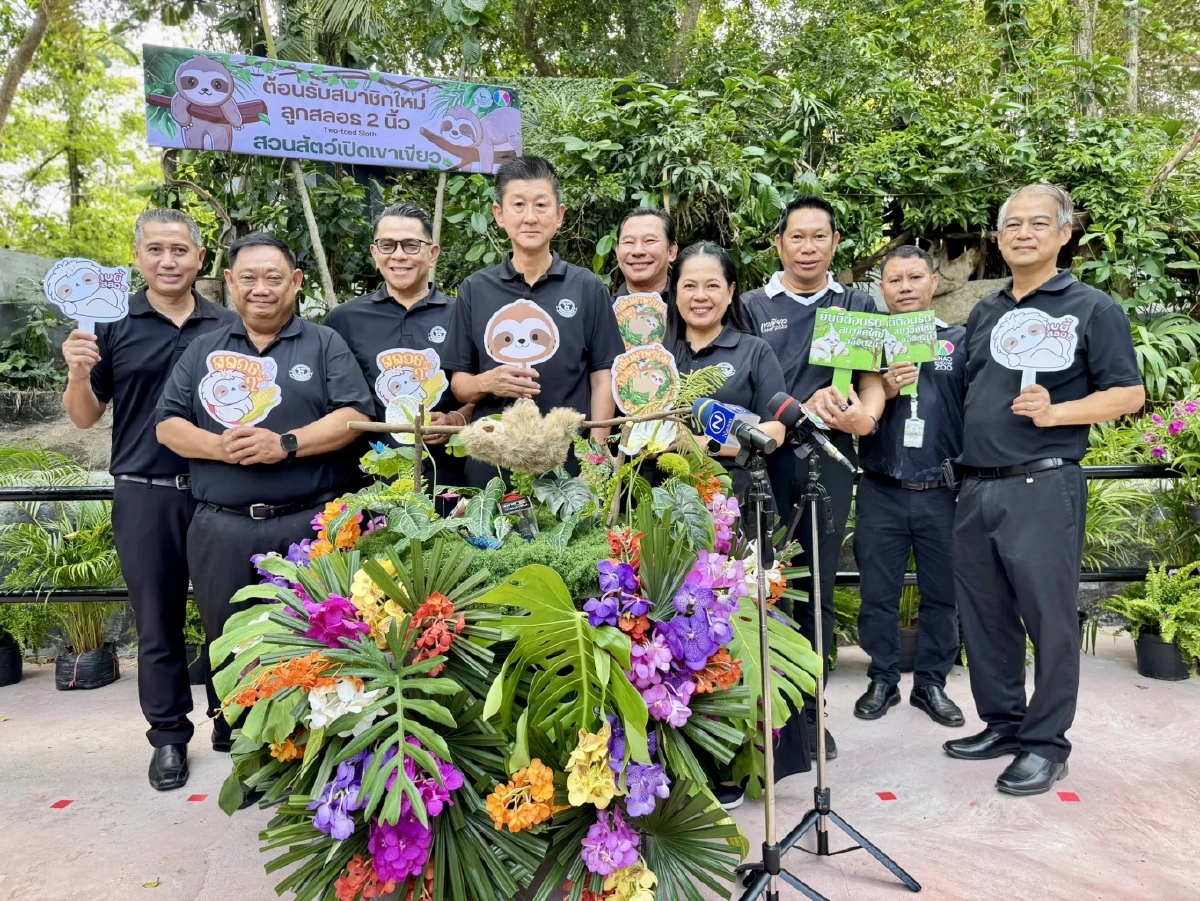 สวนสัตว์เปิดเขาเขียว เปิดตัว "ลูกสลอธ" สมาชิกใหม่สุดน่ารัก