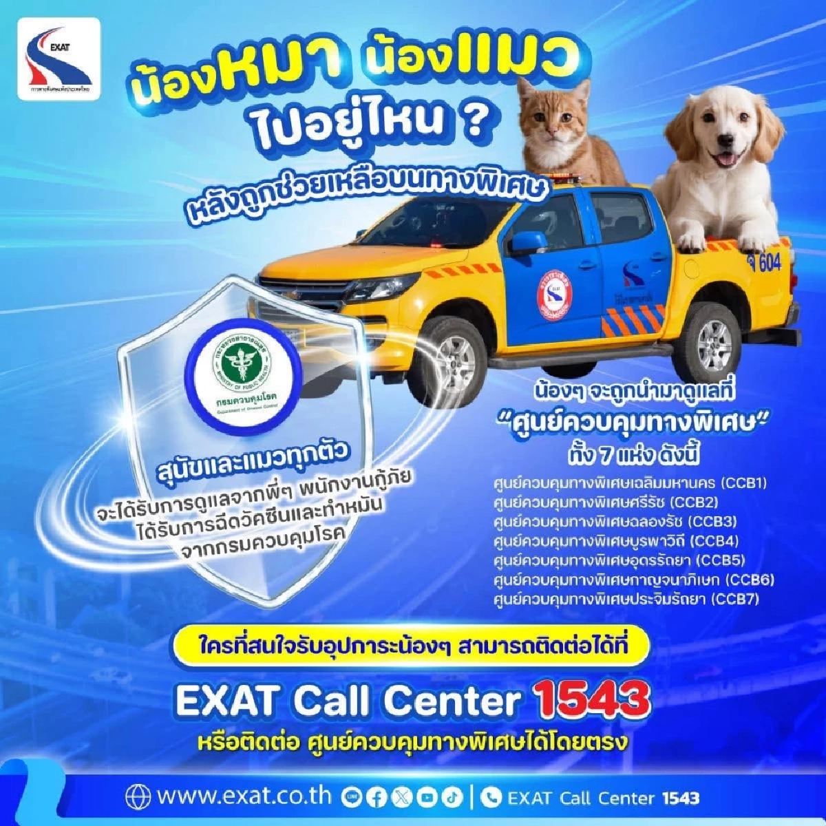 หมาแมวหายบนทางด่วนไปไหน? เฉลยจุดพักพิงลับที่ EXAT ดูแลอย่างดี!