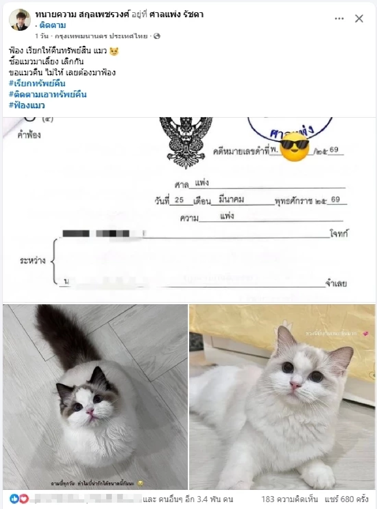 ศึกชิง "น้องแมว" รักจบแต่ปัญหาไม่จบ ฟ้องทวงคืน 4 ตัว เกือบ 6.4 แสน