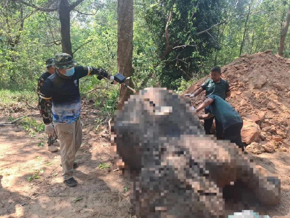 ขสป.ภูวัว เผยผลชันสูตรช้างป่าหนุ่ม พบความผิดปกติจากระบบภายใน